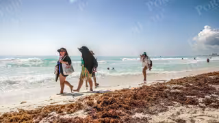 El momento de mayor calor se espera durante las primeras horas de la tarde