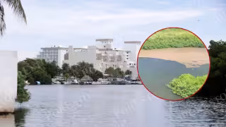 Sargazo invade la Laguna Nichupté; difunden video de acumulación en el manglar