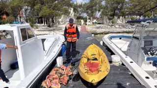 Los caracoles rosados y la estrella de mar fueron liberados vivos tras la inspección