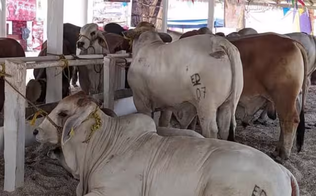 El cierre de exportaciones fue uno de los puntos abordados durante la visita a México del secretario de Estado de Estados Unidos, Marco Rubio