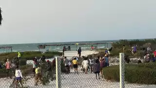 Avanza la destrucción del manglar en Sisal en manos de pobladores