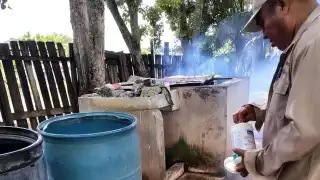 La Península de Yucatán sumó 10 nuevos casos de dengue en la última semana.