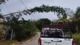 Frente frío 37 causó apagones y riesgo de incendios en Escárcega