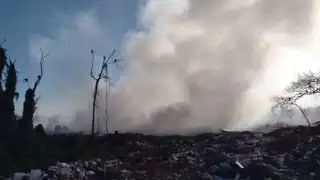 El incendio se logró apagar de manera exitosa