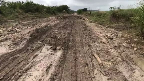 Caminos en condiciones indignas dificultan el trabajo de cosecha de productores en Chetumal. Caminos en condiciones indignas dificultan el trabajo de cosecha de productores en Chetumal.