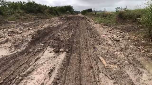Caminos en condiciones indignas dificultan el trabajo de cosecha de productores en Chetumal.