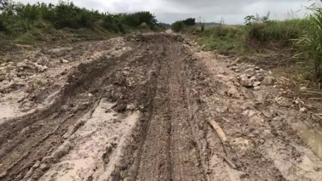 Caminos en condiciones indignas dificultan el trabajo de cosecha de productores en Chetumal.