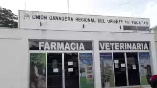 Delegados ‘engrosan’ el expediente contra Abraham Macari en la Unión Ganadera del Oriente de Yucatán