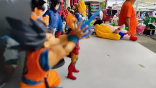 Las piezas más caras son las figuras japonesas, como por ejemplo los "Gokus"