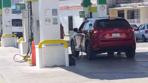 Transportistas agradecen a la Presidenta por mantener el precio de la gasolina “verde” en 24 pesos el litro