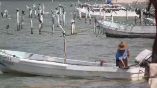 Frentes fríos mantienen paralizada las actividades ribereña en el puerto de Champotón