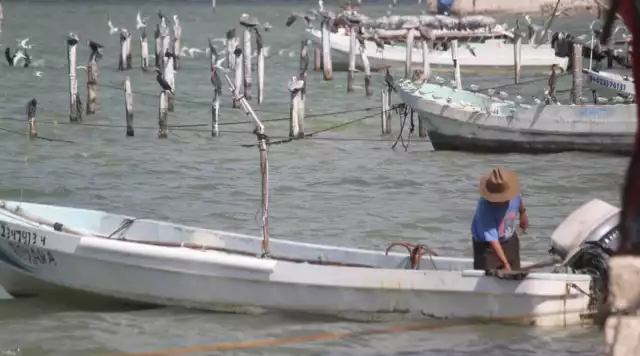 Cinco días sin salir a la mar afectan economía de pescadores