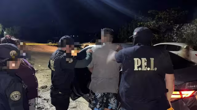 La pareja fue detenida junto al aseguramiento de diversas dosis de drogas