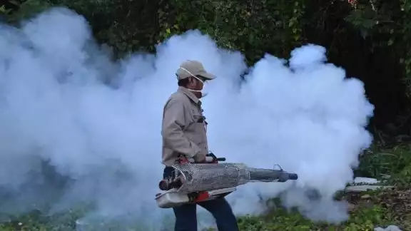 La campaña de fumigación sigue vigente en Yucatán