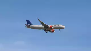 Una rata se subió a un avión de polizonte y lo obligó a aterrizar de emergencia