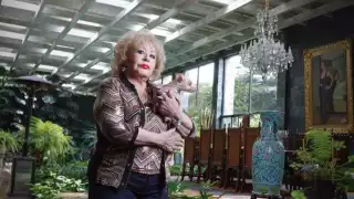 Así nació la idea de hacer 'Mujer casos de la vida real' , el famoso programa de Silvia Pinal