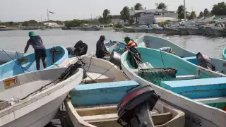 Desde mañana, se repartirán unos 65 millones de pesos entre 12 mil trabajadores del mar en Yucatán