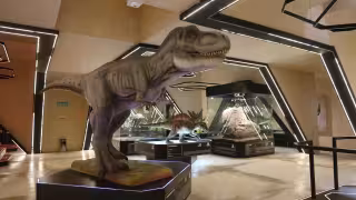 El Corchito y Museo del Meteorito superan 42 mil visitas en el primer trimestre