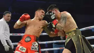 Joselito en acción desde casa