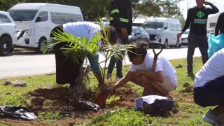 Cecilia Patrón impulsa estrategia ambiental en Mérida