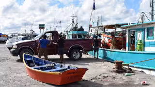Rubia y canané sustituyen al mero, pero dejan pocas ganancias a pescadores de Progreso