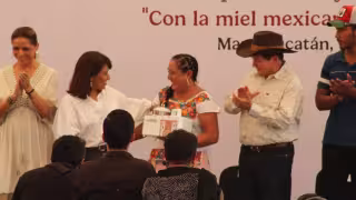 Se reforzará la atención a la abeja melipona en Yucatán