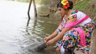 Jonuteek, el santuario de manatíes en Tabasco, que promueve la conservación de la especie