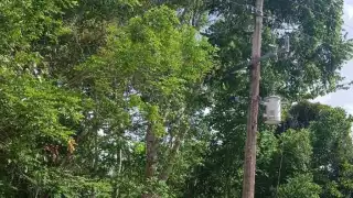 Falta de luz se expande  en Felipe Carrillo Puerto: Habitantes de  San Francisco Aké reportan fallas en el servicio eléctrico 