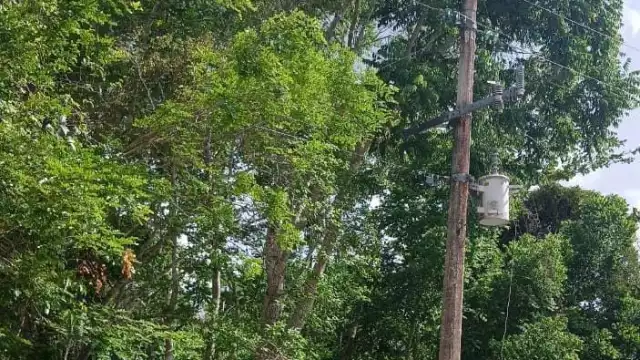 Algunas familias han reportado fallas desde el lunes pasado, lo que evidencia la falta de atención de autoridades