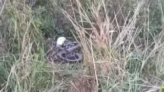 Localizan sin vida a hombre reportado como desaparecido en Champotón