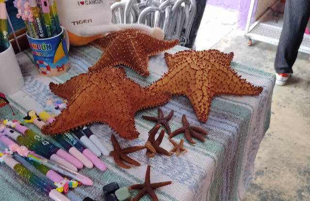 La persona puede obtener hasta nueve años de prisión, de 300 a 3 mil días de multa y un incremento en la penalidad cuando exista finalidad comercial