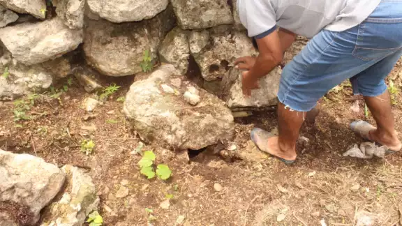 Vecinos de la vía 14 con 25 hallaron presuntamente la boca de una dolina, mientras chapeaban un predio Vecinos de la vía 14 con 25 hallaron presuntamente la boca de una dolina, mientras chapeaban un predio