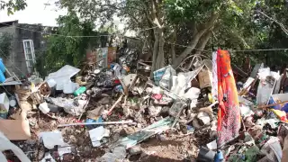 La dependencia informó que en el sitio se puso en resguardo a seis de ocho perros encontrados en la vivienda.