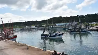 Necesitarían contratar una grúa y unas bombas que permitan poder sacarlas del mar.