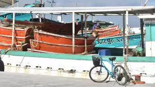 Pescadores mantienen una captura estable de escama y precios favorables del producto en el mercado