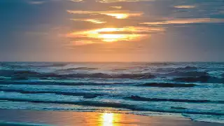 Producción del fentanilo termina contaminando la vida oceánica.