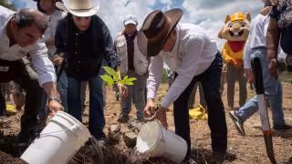 Yucatán participa en la Jornada Nacional de Reforestación 2026