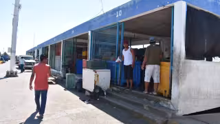 Pesca de mero en Yucatán enfrenta bajas capturas y preocupación por sobreexplotación