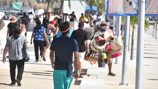 Gente que ofrece viajes a turistas se los llevan antes de que conozcan lo que ofrece el puerto