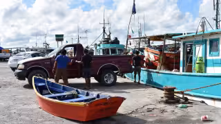 Marineros esperan una captura más rentable con el arranque de la temporada de langosta y pulpo
