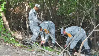 Marina y CCE limpian un kilómetro de costa en Campeche; toneladas de basura retiradas