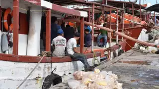 Detectan la descarga furtiva de especies marinas en puntos muertos durante la temporada de veda