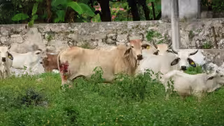 La Seder refuerza la vigilancia y la atención con acciones de control, capacitación y toma de muestras