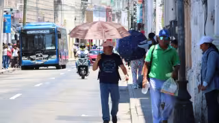 Yucatán arde con temperaturas de hasta 40 grados