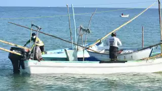 Representantes industriales, cooperativas y pescadores señalan que el 2025 será sumamente difícil