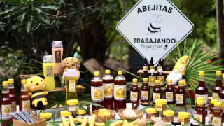 Ruta de Miel y la Selva