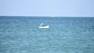 Pescadores de Chicxulub denuncian amenazas de furtivos en altamar