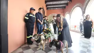 Presentan a las Reinas y Reyes Caninos del Carnaval de Mérida 2025