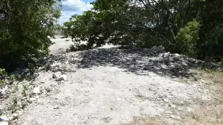 Pobladores reportan que la destrucción ocasionada por invasores se ha extendido hasta Uaymitún