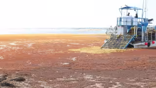 La SEMA prevé un  inversión inicial de  130 mdp, además de lo que pagarán hoteleros para limpiar las playas